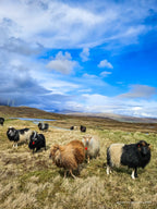 Eysturoy Tour - Vamos Faroe Islands