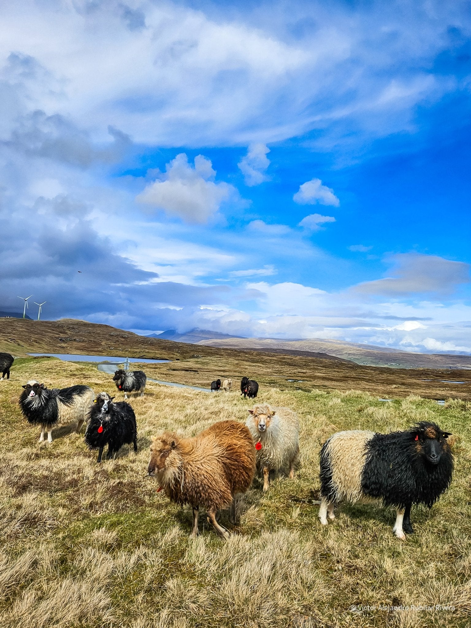 Eysturoy Tour - Vamos Faroe Islands