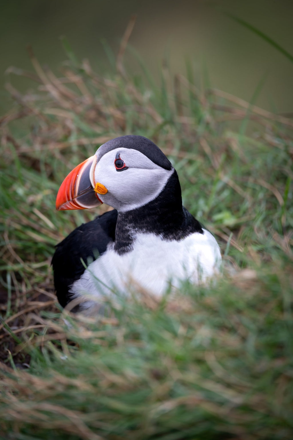 Private tour - Vamos Faroe Islands