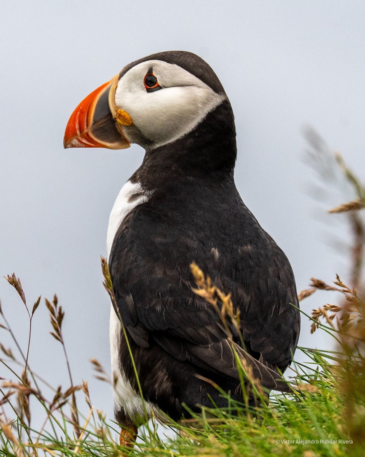 Private tour - Vamos Faroe Islands