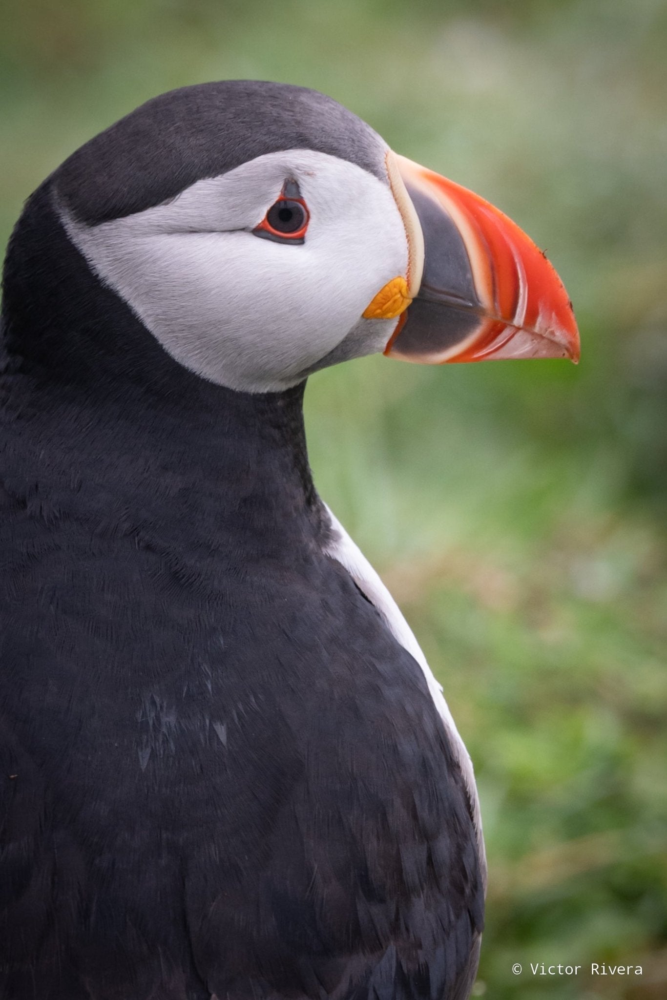 Private tour - Vamos Faroe Islands