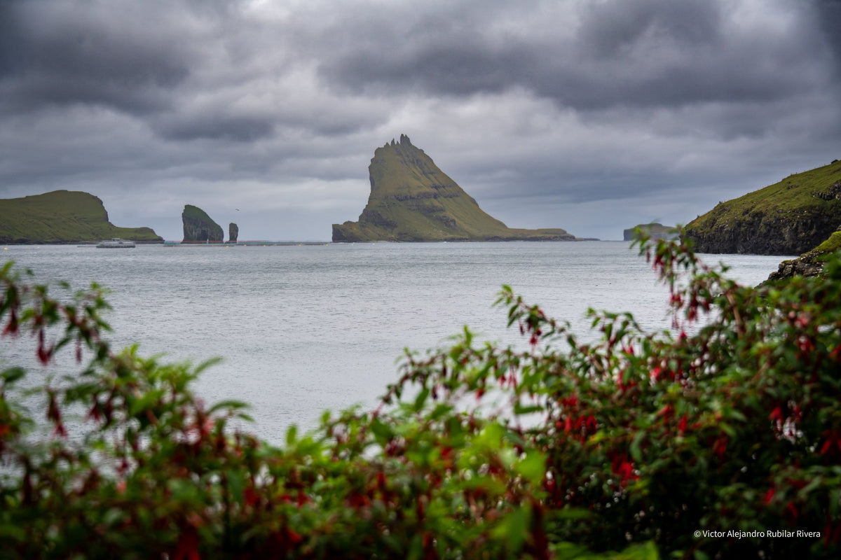 Vágar Excursion - Vamos Faroe Islands
